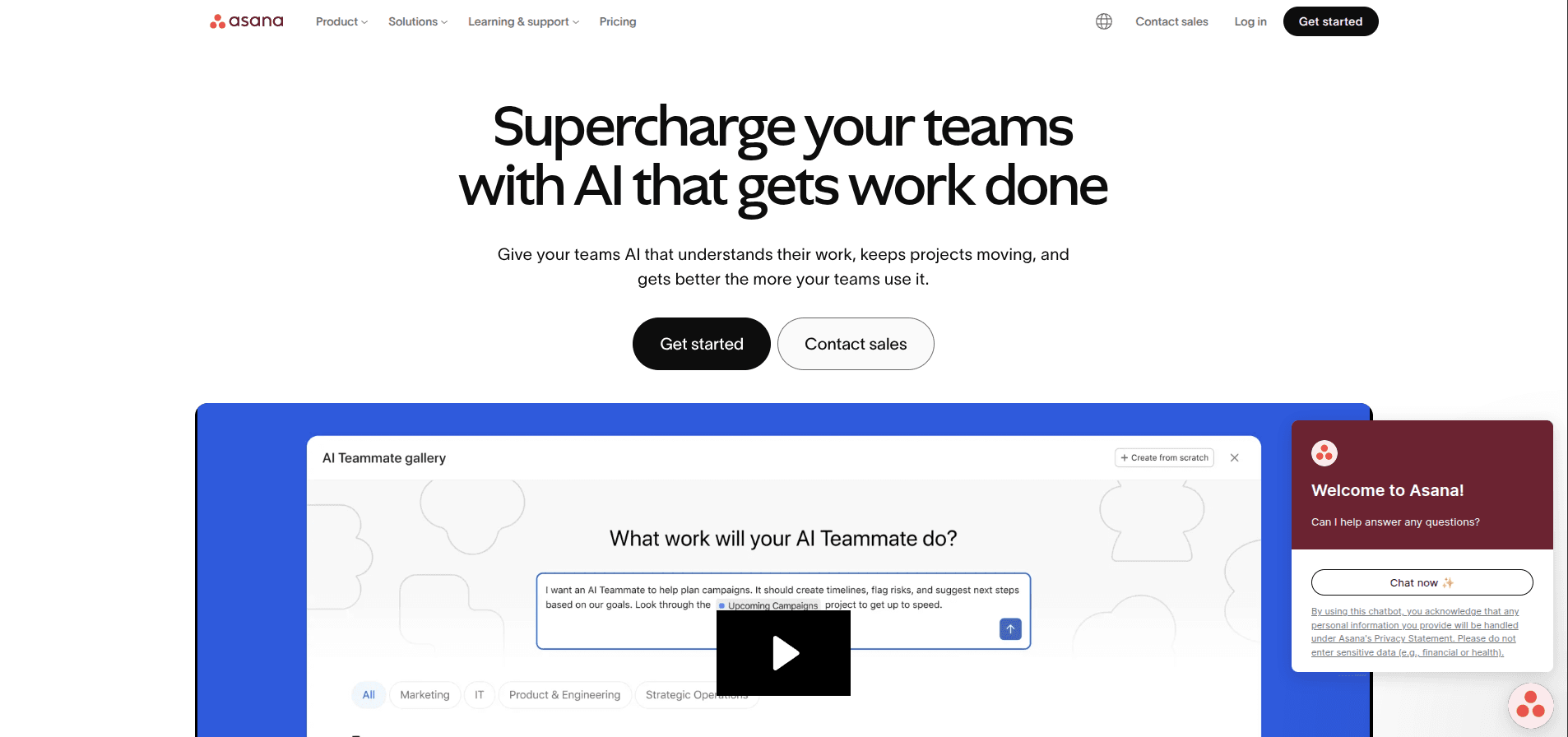 Asana Website Platform